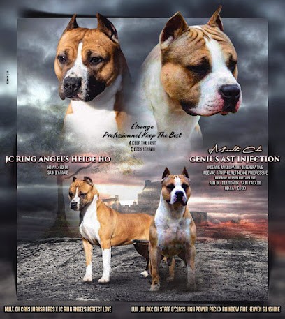 Keep The Best, Eleveur de Chiens à Saint-Firmin-des-Bois