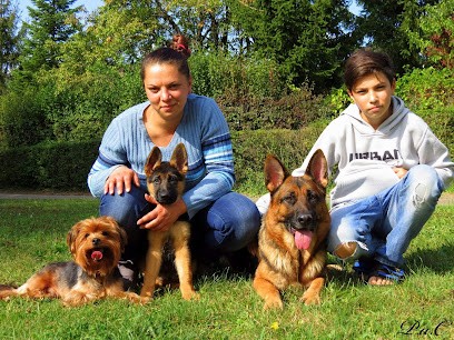 Élevage Von Angelius Team, Eleveur de Chiens à Merry-sur-Yonne