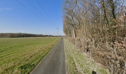 Centre canin Val de Loire, Dresseur de Chiens à Truyes