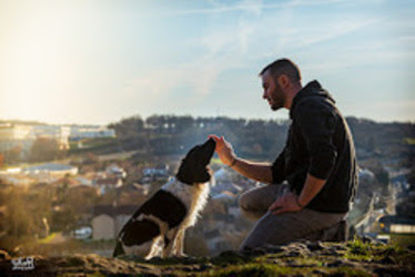 Romuald Deschodt Educateur Canin Comportementaliste Poitiers 86, Dresseur De Chiens à Roches-Prémarie-Andillé