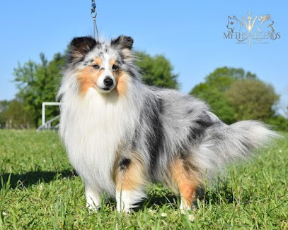 Elevage of myths and legends, Eleveur de Chiens à Val-du-Maine