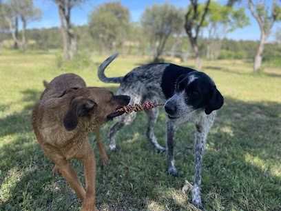 Parc Au Poil, Pension Pour Chien à Saint-Gély-du-Fesc