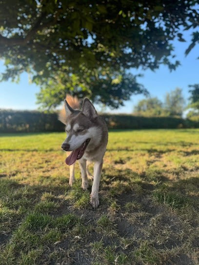 Le Domaine de Noisette, Pension pour Chiens à Montilliers