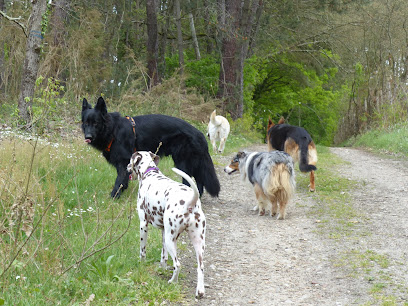 Éducateur Canin Gambade72 Florence Gorget, Dresseur De Chiens à Cérans-Foulletourte