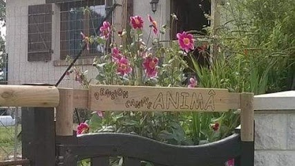 Animâ, Pension pour Chiens à Campigny