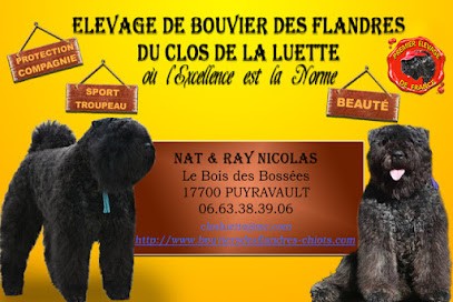 Elevage du Clos de la Luette, Eleveur de Chiens à Puyravault