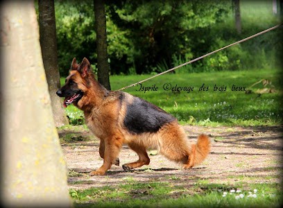 Des Trois Lieux, Eleveur de Chiens à Houtkerque