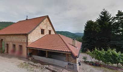 Chien Papillon, Eleveur de Chiens à Fouchy