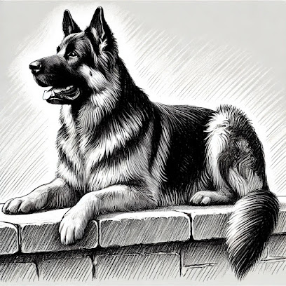Les Gardiens De Doulazet, Éleveur De Chiens à Arfeuille-Châtain