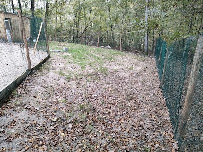 Pension De Youki, Pension pour Chiens à Villeny