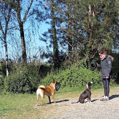 Laka Pet Services - Education canine, Dresseur de Chiens au Loroux-Bottereau
