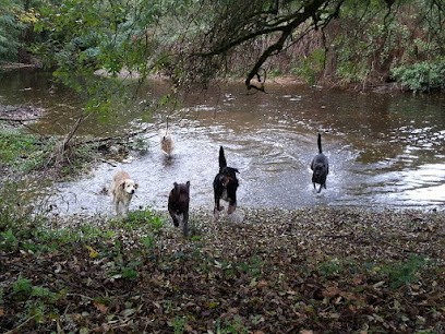 Pension familiale des jardins d'Eden, Pension pour Chiens à Rivières