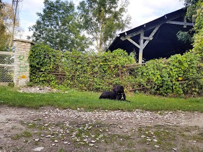 La Patte De Bella, Dresseur de Chiens à Bachivillers