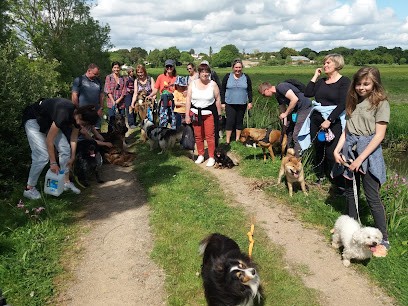 Bouge Ton Chien En Retz, BTCR 44, Dresseur de Chiens à Sainte-Pazanne