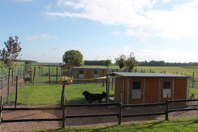 La vallée de la Veude, pension pour chiens, Pension pour Chiens à Sérigny