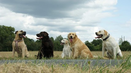 OSKADOG EDUC, Dresseur de Chiens à Vierzon