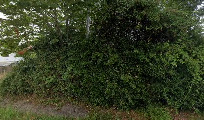 SPECA, Dresseur de Chiens à Saint-Paul-lès-Dax