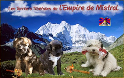 Elevage de L'empire de Mistral - C & JC MARCOUP - ELEVAGE DE TERRIER DU TIBET, Eleveur de Chiens à Martigues