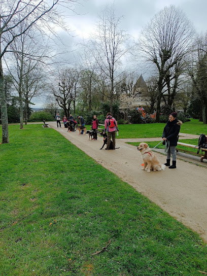 Un Chien Au Poil - Educateur Et Comportementaliste Canin À Château-Gontier-Sur-Mayenne Et Ses Alentours, Dresseur De Chiens à Chemazé