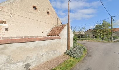 Sport et Dressage Canin Saint Pourçinois, Dresseur de Chiens à Saint-Pourçain-sur-Sioule