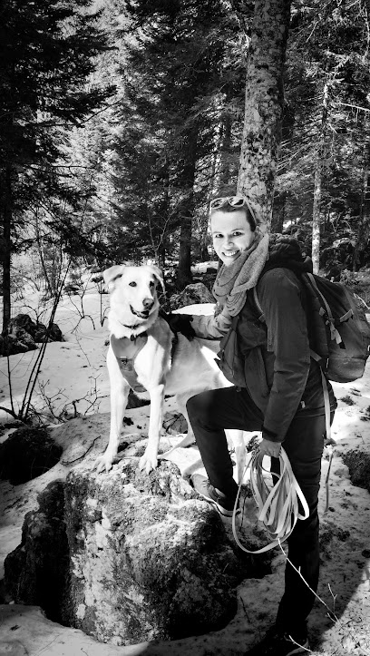 Un Poil Positive - Éducatrice Comportementaliste Canine Dresseur De Chiens à la Frette