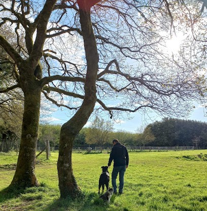 Au Temps Du Chien, Dresseur de Chiens à Languidic