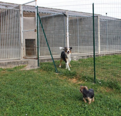 Pension Canine Et Féline De Loudenka, Pension pour Chiens à Saint-Pont
