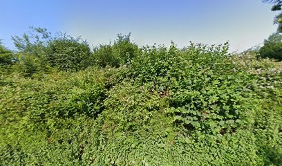 Nuret Géraldine, Pension pour Chiens à Champcevinel