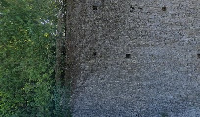 Domaine de la vie en couleurs, Eleveur de Chiens au Tronquay