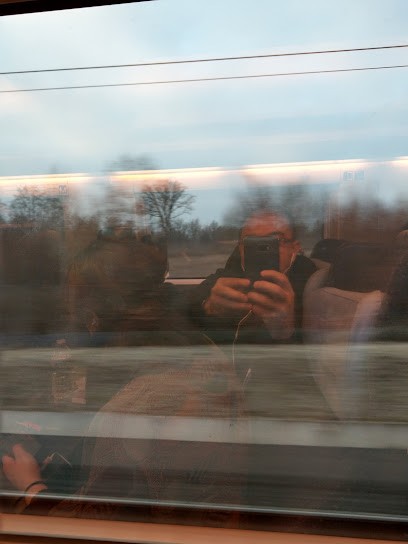 Turnago Villares- Eleveur canin Lorraine, Eleveur de Chiens à Belles-Forêts