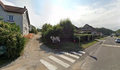 Happy & Dog, Dresseur de Chiens à Méziré