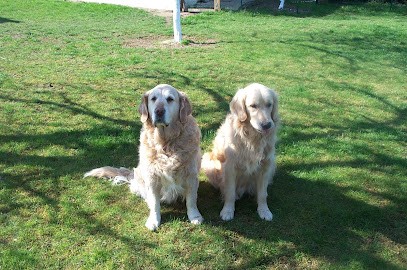 Prohaczka Nicole, Pension pour Chiens à Montalet-le-Bois