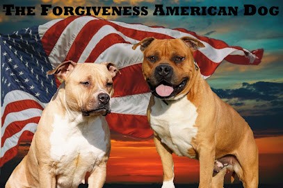 The Forgiveness American Dog Éleveur STAFF AMERICAIN/BULLDOG CONTINENTAL/BEAGLE et Pension Canine, Eleveur de Chiens à Branges