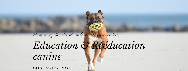 Isabelle Miossec Education & Rééducation Canine Dresseur De Chiens à Avensan