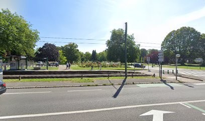 Sweet Loving Labs, Labrador Retriever, Eleveur de Chiens à Roubaix