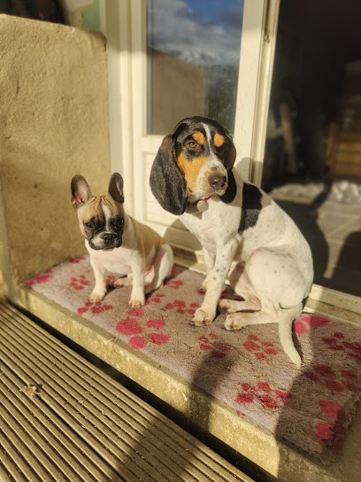 RécréaDog 2, Pension pour Chiens à Saint-Ismier