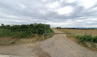 Teach Your Dog, Dresseur de Chiens à Solaize