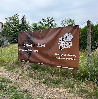 Élevage des Oursons de l'Aisne, Eleveur de Chiens à Presles-et-Thierny