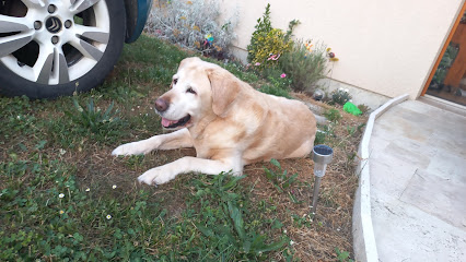 Dogeducsport By Christine, Dresseur De Chiens à la Chaussée-Tirancourt