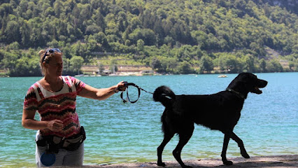 Déborah Coach Canin Dresseur De Chiens à Broualan