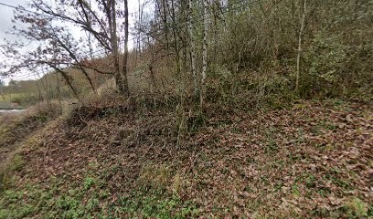 Élevage Du Second Souffle, Eleveur de Chiens à Saint-Izaire