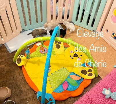 Des Amis de Chérie, Eleveur de Chiens à Lignan-sur-Orb