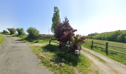 Domaine D'Io, Pension pour Chiens à Sargé-lès-le-Mans