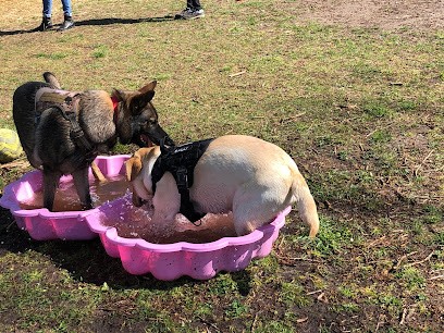 The Free Dog Club, Dresseur de Chiens à Sarcé