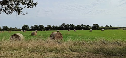 Chenil Du Petit Bois, Pension pour Chiens à La Ferté-Saint-Aubin