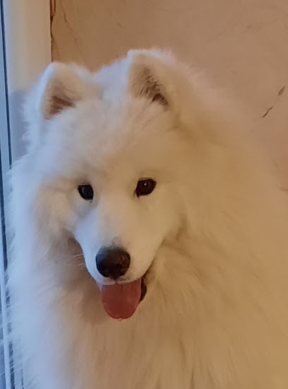 Dubois Nadège, Eleveur de Chiens à Viriville