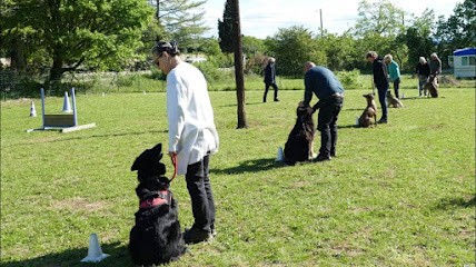 Education canine 07 Laurac en vivarais, Dresseur de Chiens à Laurac-en-Vivarais