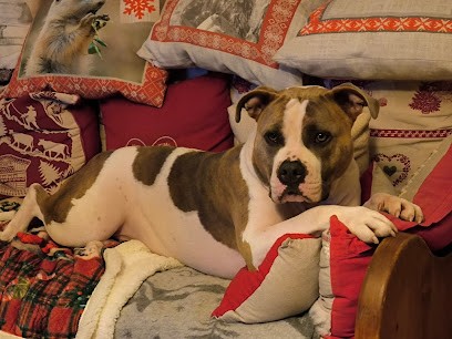 Élevage de la Victoire des Dieux, Eleveur de Chiens à Visan