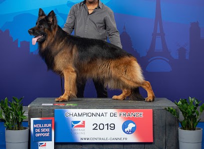 Elevage De La Roche Clotilde, Eleveur de Chiens à Villemer