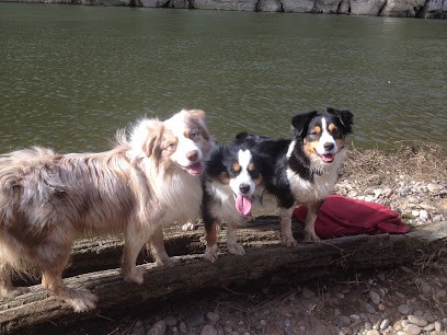 Marina Collet Éducateur Canin, Dresseur de Chiens à Montvalent